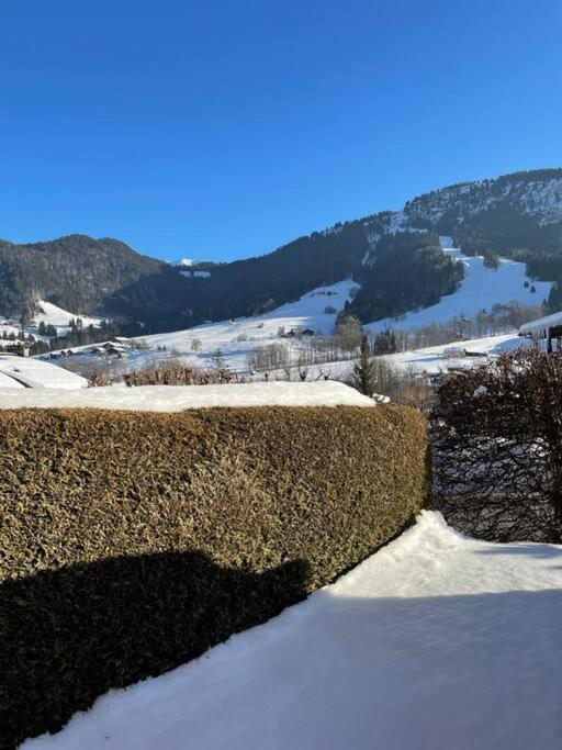 Charmant Studio + Jardin Vue Pistes Et Local Velo Праз-Сур-Арлы Экстерьер фото