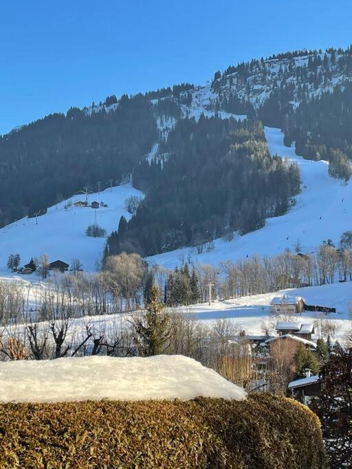 Charmant Studio + Jardin Vue Pistes Et Local Velo Праз-Сур-Арлы Экстерьер фото